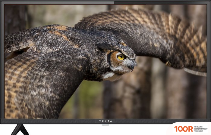 Телевизор Vekta LD-24TR4350BT (289356)