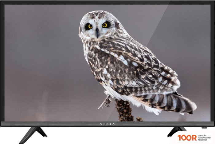 Телевизор Vekta LD-24TR4011BT (289352)