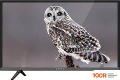 Телевизор Vekta LD-24TR4011BT (289352)