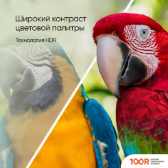 Телевизор Topdevice TDTV50BS06UML (289313)