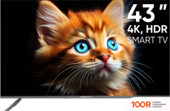 Телевизор Topdevice TDTV43BS06UML (289312)