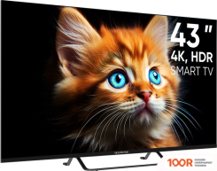 Телевизор Topdevice TDTV43BS05UBK (289311)