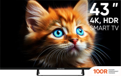 Телевизор Topdevice TDTV43BS05UBK (289311)