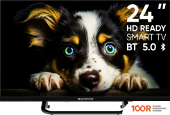 Телевизор Topdevice FRAMELESS NEO TDTV24CS04H_BK (289309)