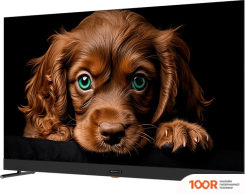 Телевизор Topdevice 55" QLED DQ08 (289297)