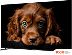 Телевизор Topdevice 55" QLED CQ09 (289296)