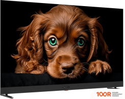 Телевизор Topdevice 50" QLED DQ08 (289290)