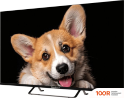 Телевизор Topdevice 43" SMART TV YАOS (ЧЕРНЫЙ) (289283)