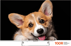 Телевизор Topdevice 43" SMART TV YАOS (БЕЛЫЙ) (289282)