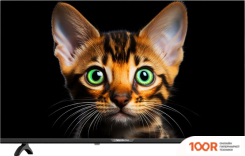 Телевизор Topdevice 42" FRAMELESS BS04 (ЧЕРНЫЙ) (289281)