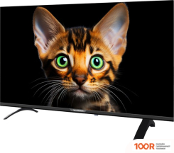 Телевизор Topdevice 42" FRAMELESS BS04 (ЧЕРНЫЙ) (289281)