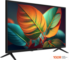 Телевизор Topdevice 32" LED BN02 (ЧЕРНЫЙ) (289269)