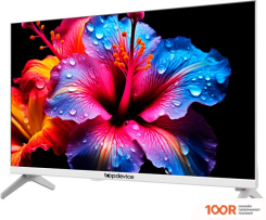 Телевизор Topdevice 24" LED FRAMELESS CN04 (БЕЛЫЙ) (289257)