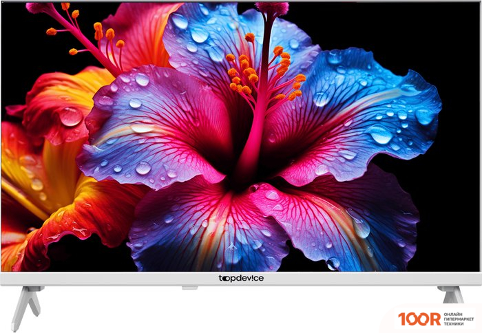 Телевизор Topdevice 24" LED FRAMELESS CN04 (БЕЛЫЙ) (289257)