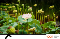 Телевизор Thomson T55USL7010 (289249)