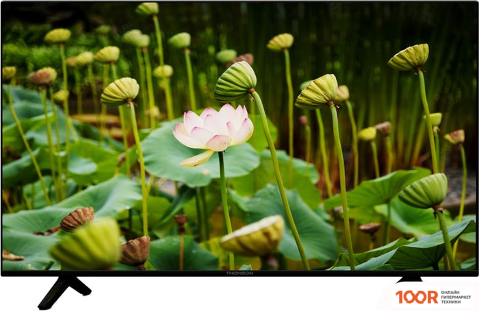 Телевизор Thomson T55USL7010 (289249)