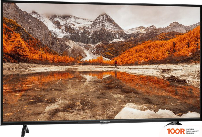Телевизор Thomson T43FSL6060 (289232)