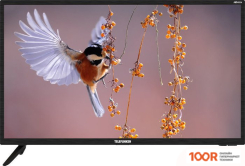 Телевизор TELEFUNKEN TF-LED32S17T2S (289123)