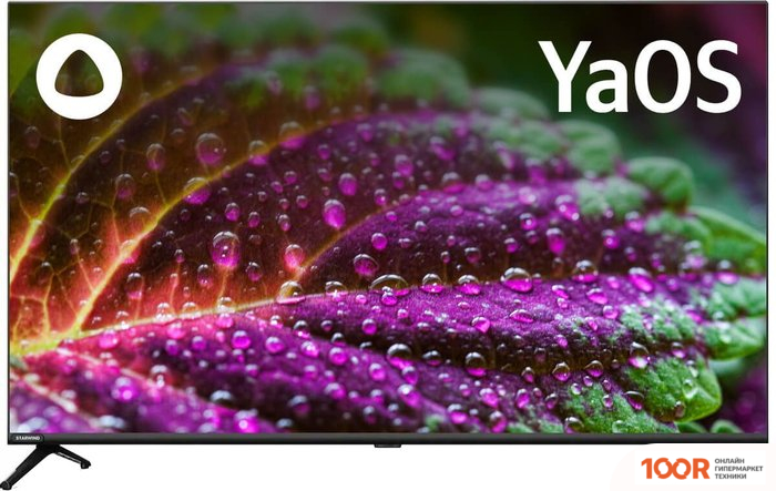 Телевизор StarWind SW-LED43SG300 (288771)