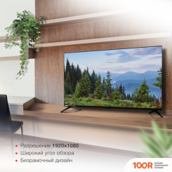 Телевизор StarWind SW-LED43SG300 (288771)