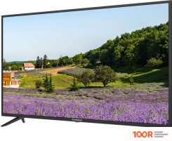 Телевизор StarWind SW-LED43SB300 (288769)