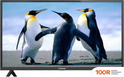 Телевизор StarWind SW-LED40SB304 (288763)