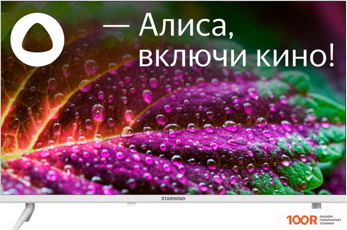 Телевизор StarWind SW-LED32SG311 (288757)