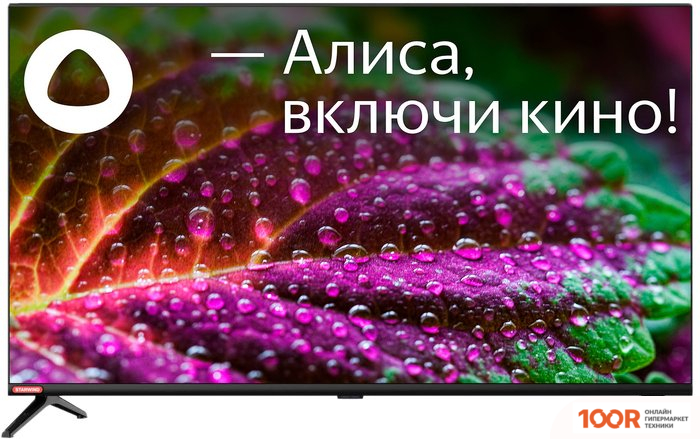 Телевизор StarWind SW-LED32SG300 (288752)