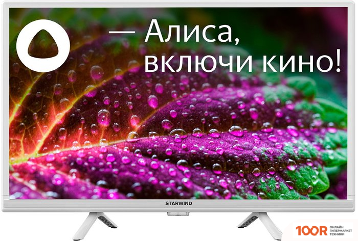 Телевизор StarWind SW-LED24SG312 (288739)