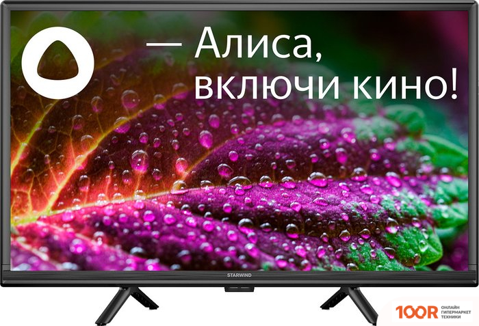 Телевизор StarWind SW-LED24SG304 (288738)