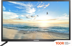 Телевизор StarWind SW-LED24BB201 (288733)