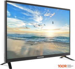 Телевизор StarWind SW-LED24BB201 (288733)