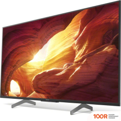 Телевизор Sony KD-49XH8596 (288635)