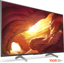 Телевизор Sony KD-49XH8596 (288635)
