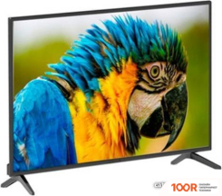 Телевизор Skyworth 32E3A (288517)