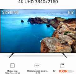 Телевизор Skyline 65U7511 (288513)