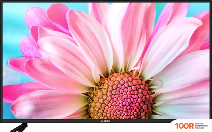Телевизор Skyline 55U7510 (288510)