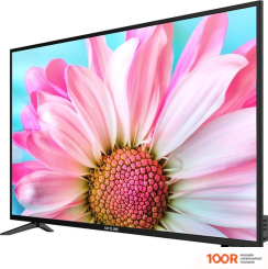 Телевизор Skyline 55U7510 (288510)