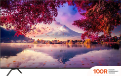 Телевизор Shivaki S65LU7500 (288460)