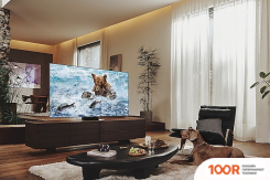 Телевизор Samsung QE55QN700BUXRU (287987)