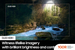 Телевизор Samsung OLED 4K S90D QE77S90DAEXXU (287920)