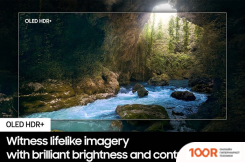 Телевизор Samsung OLED 4K S90D QE55S90DAEXXU (287912)