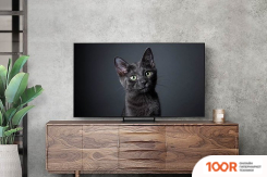 Телевизор Samsung OLED 4K S90C QE77S90CATXXH (287903)