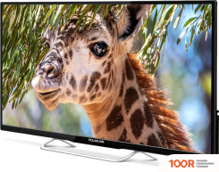 Телевизор Polarline 32PL54TC-SM (287534)