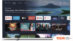 Телевизор Philips 55PUS8057/60 (287451)