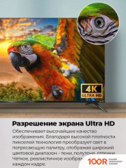 Телевизор MAUNFELD MLT55USD02 (287336)