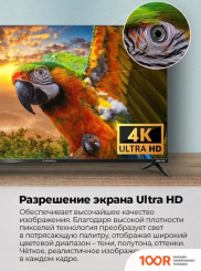 Телевизор MAUNFELD MLT43USD02 (287333)