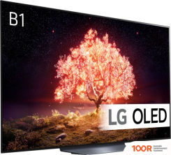 Телевизор LG OLED65B1RLA (287113)
