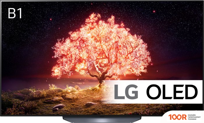 Телевизор LG OLED65B1RLA (287113)