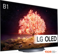 Телевизор LG OLED55B1RLA (287096)
